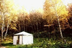 Осень. Ольга Федотова