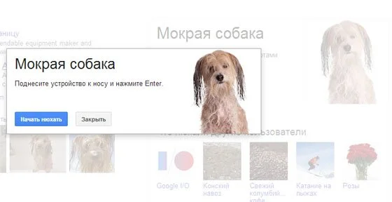google нос