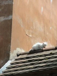 Львов экскурсия